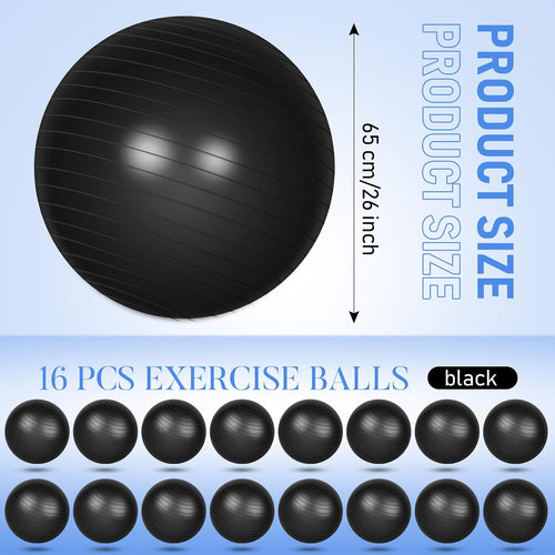 16 Pcs Yoga Exercise Ball