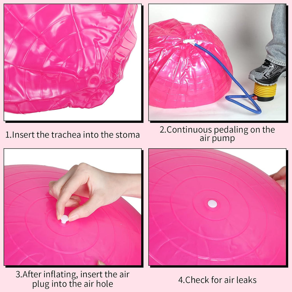 3 Pcs Exercise Yoga Ball